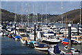 Boats at marina, Dartmouth