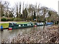 Narrowboats at Moore