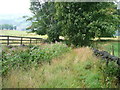 Footpath in a grass lane, Norland