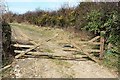 Gate on bridleway, Bury Down