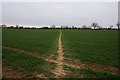 Path leading to Bilton, Hull