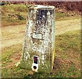 Trigpoint Pillar OSBM 11145 Maids Cross Hill