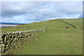 Dry Stane Dyke at Bar Hill