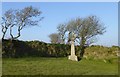 SW6831 : Millennium Cross, Wendron by David Smith
