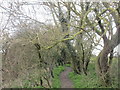 Long Lane, Dry Doddington