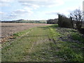 Farm track (footpath) near Westhey Manor