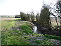 Drain near Westhey Manor