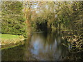 Moat near remains of Priory, St Michael