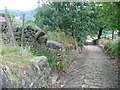 Doldram Lane at the end of the footpath to Oaken Royd, Norland