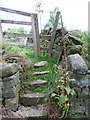 SE0522 : Steps and stile on the footpath to Oaken Royd at Doldram Lane, Norland by Humphrey Bolton