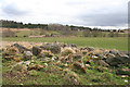 Boulders from the Fields