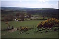 Slopes of Frenni Fawr