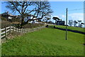 Path beside the road at Strete