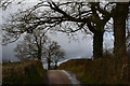 SS8906 : Mid Devon : Country Lane by Lewis Clarke