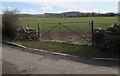 Zig Zag Lane field gate, Newton