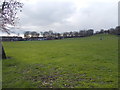 Playing Fields - Haw Hill Park - viewed from Ashgap Lane