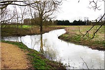 SP3508 : Confluence of the River Windrush and Emma's Dike, Witney, Oxon by P L Chadwick
