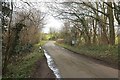 Lane through Kingcopse Wood