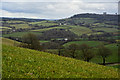 SS8907 : Mid Devon : Countryside Scenery by Lewis Clarke
