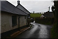 Mid Devon : Country Lane