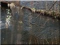 Bonhill Quarry: chisel marks