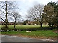 Village Green in Ellerker