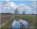 Path from Cat Tail Lane to Wood Moss Lane