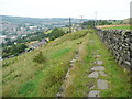 Footpath approaching Hob Lane, Norland