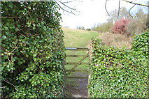 NX5956 : Gateway to Venniehill by Billy McCrorie