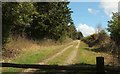 Track, Clowne Plantation