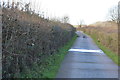 Footpath to Chadhurst Farm