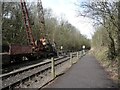 The Bath & Bristol Railway Path, north of Bitton Station