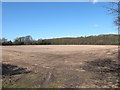 Field West of High Brows Covert near Southport Crematorium