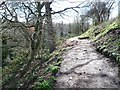 Path in Willsbridge Valley local nature reserve