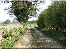 TF8509 : Farm track to North Pickenham Road by Evelyn Simak