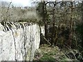 Western side of a waggonway bridge, Willsbridge