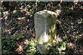 Milestone, Bridge Hill