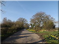 Gosbeck Road, Helmingham