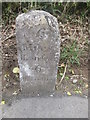 Milestone - Llandovery 6