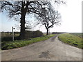 Bridleway to Gosbeck Lane