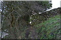 Stile, Nidderdale Way