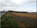 Farmland Between Asselby and Knedlington