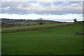 Farmland, Darley Head