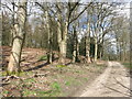 Bridleway by Wellhouse Farm