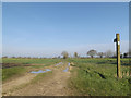 Footpath off Pettaugh Lane