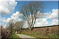 Lane to Beara Farm