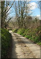 Lane to the Trebant Water