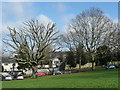 Trees on a green, Sudbury