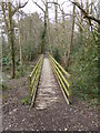 Footbridge over stream between Brooklands and Brighton Roads