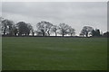 Farmland, Killinghall